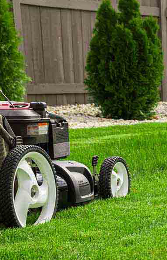 lawn maintenance lawn maintenance