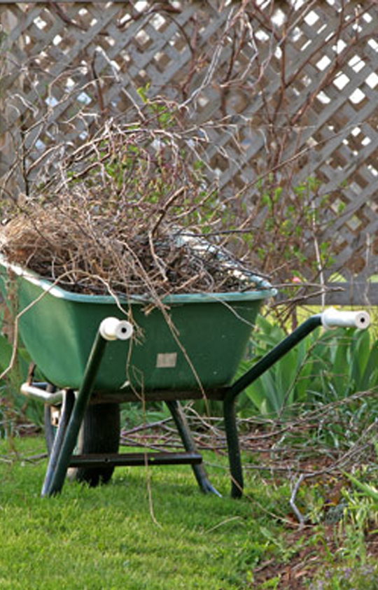 yard cleanup